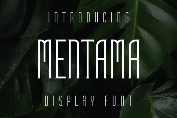 Mentama: A Display Font That Makes Your Headlines Instantly Clear