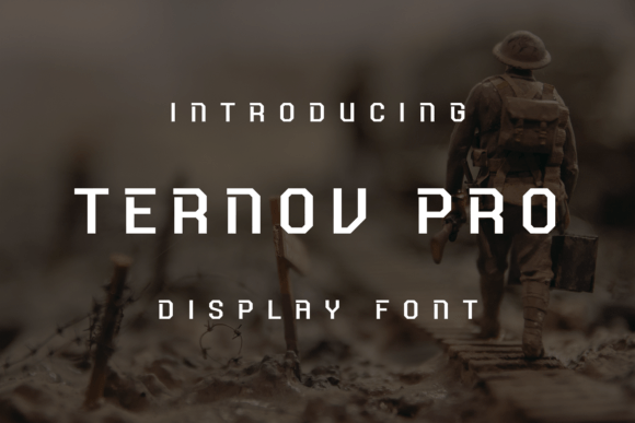 Ternov Pro: A Display Font That Strengthens Your Brand Identity